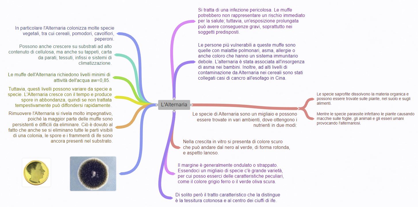 Analisi microscopica di Alternaria