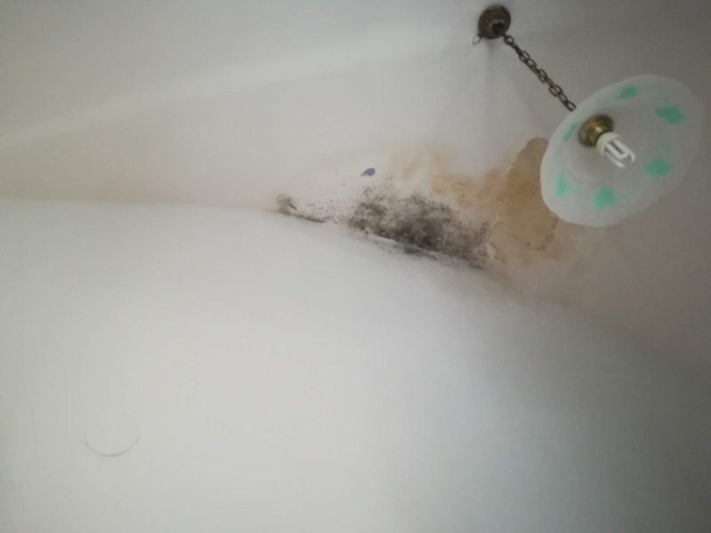 Infiltrazione d'acqua da copertura in appartamento: macchie e distacco di intonaco su soffitto